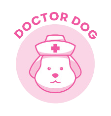 Doctor dog